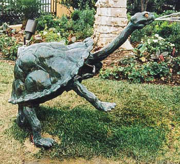 Tortoise